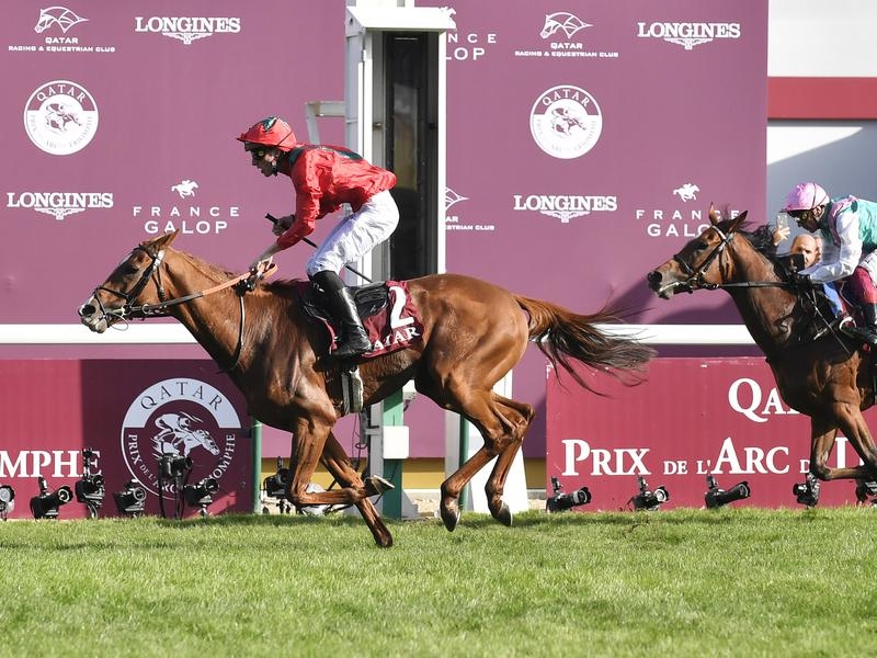 Gallops Virus France | Just Horse Racing