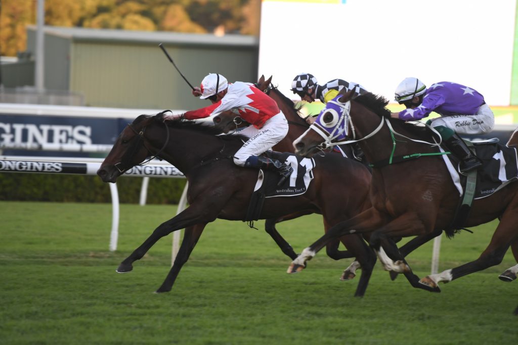 Grand Piano 09052020 1040 | Just Horse Racing
