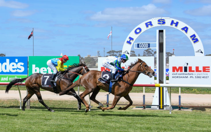 Horsham races