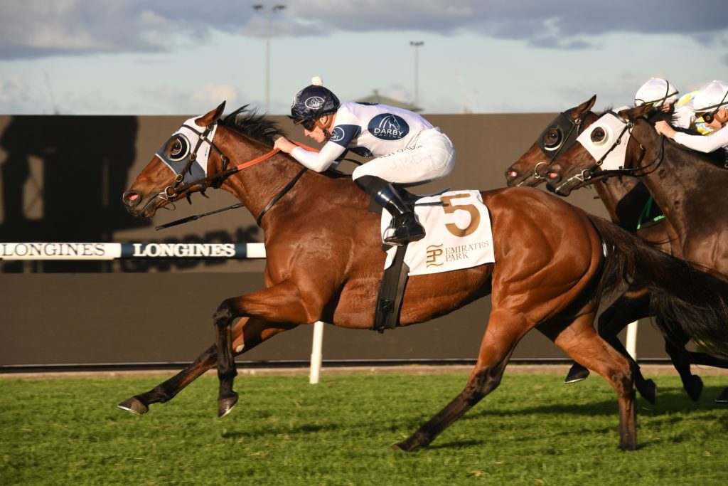 Irithea 16052020 2331 | Just Horse Racing