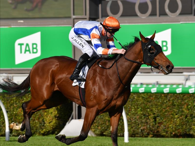 Morphettville Guineas | Just Horse Racing