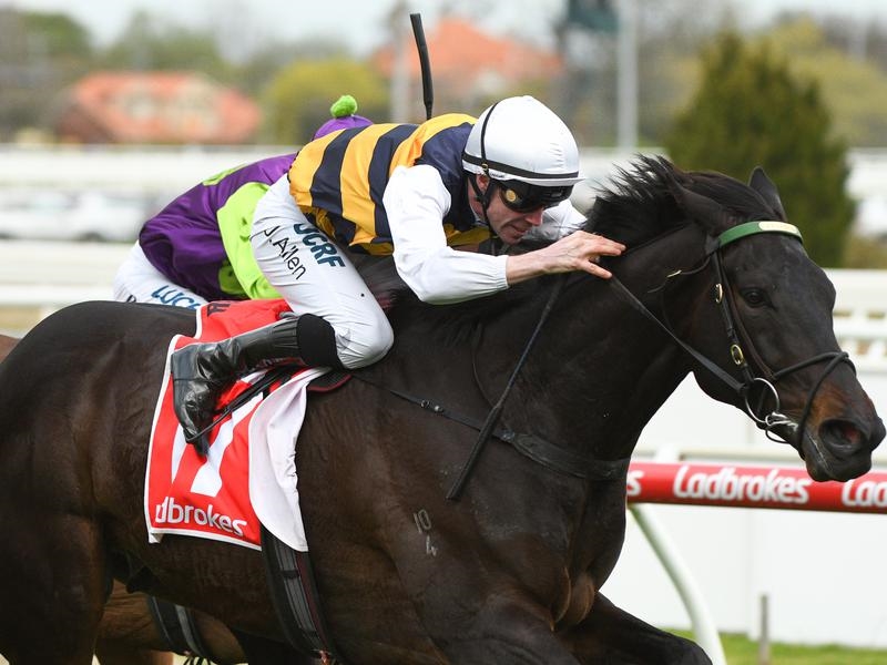 Morphettville Harbour | Just Horse Racing