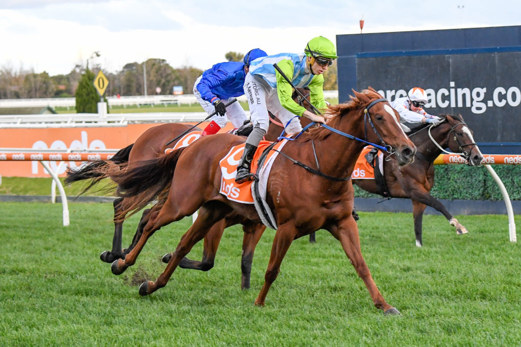 News Girl | Just Horse Racing News Girl