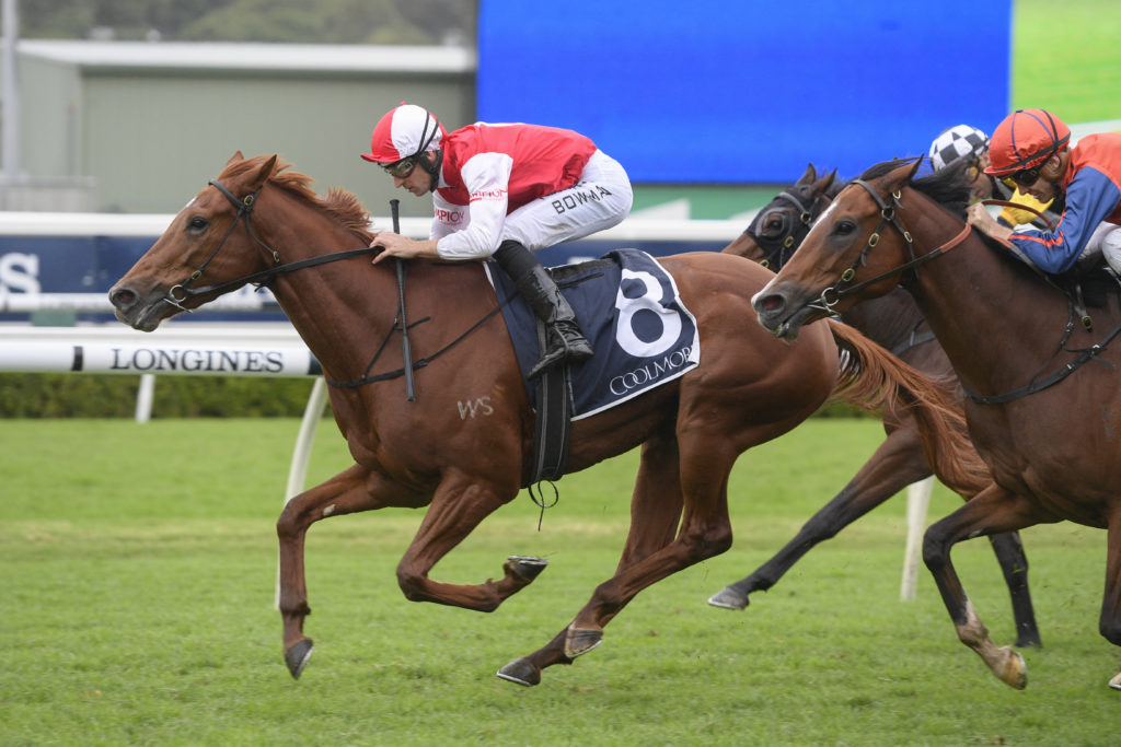 OPACITY,Z_6_RW_23052020__B025_MD54082 | Just Horse Racing