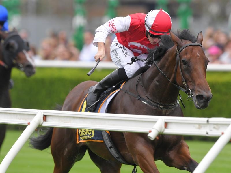 Randwick | Just Horse Racing