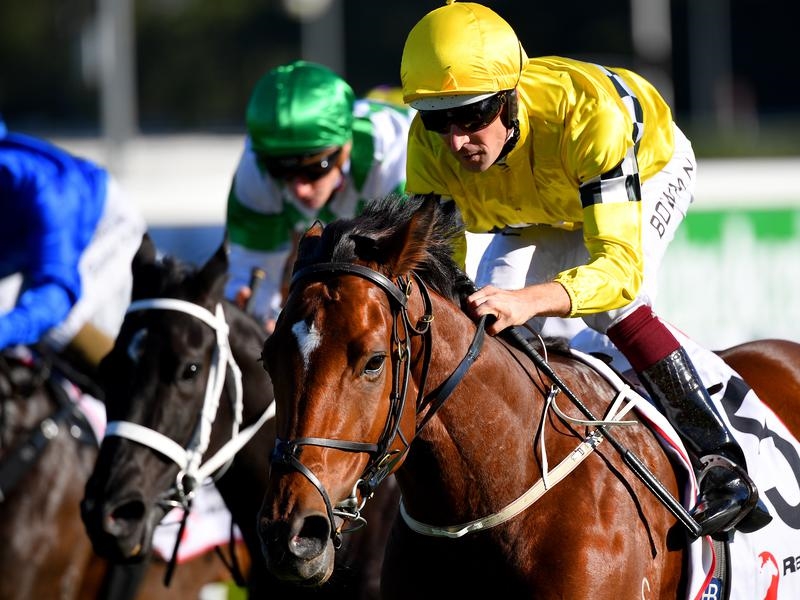 Randwick Clock | Just Horse Racing