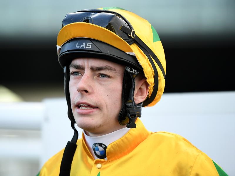 Randwick Dolan | Just Horse Racing