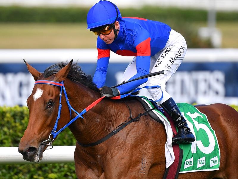 Randwick Highway | Just Horse Racing