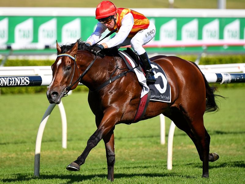 Randwick Peltzer | Just Horse Racing
