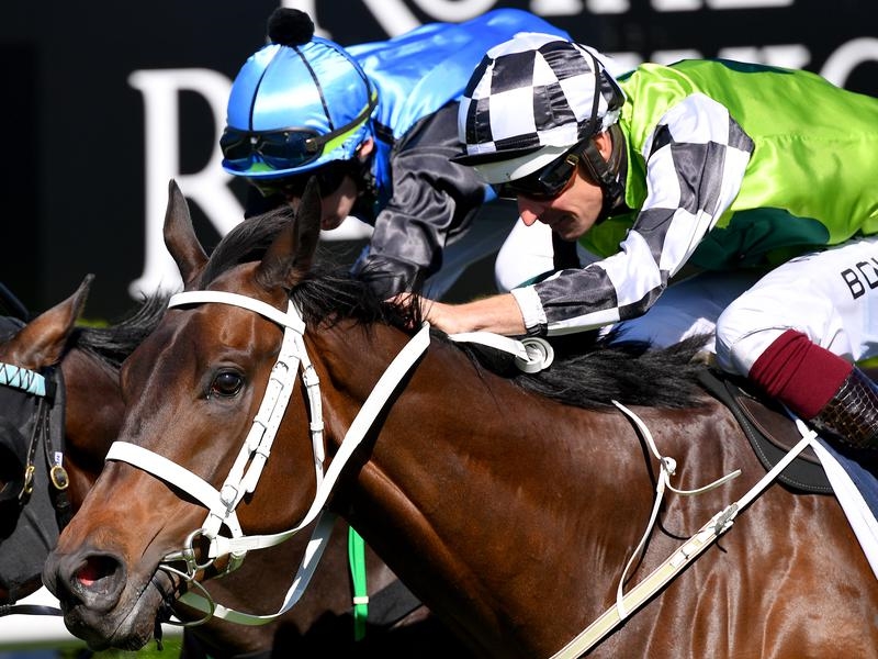 Randwick Yonkers | Just Horse Racing