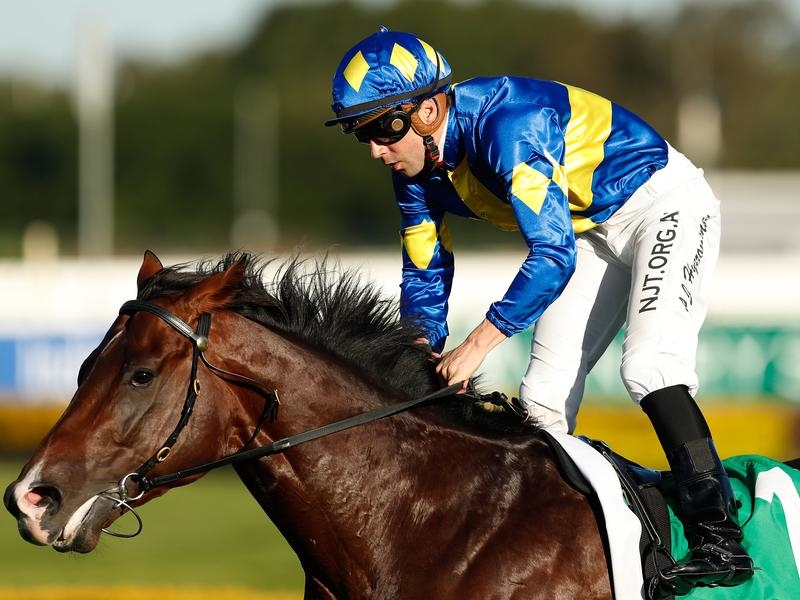 Rosehill | Just Horse Racing