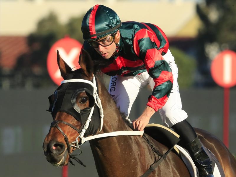 Rosehill | Just Horse Racing
