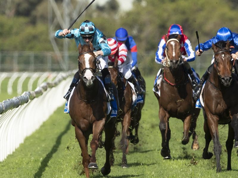 Rosehill Anders | Just Horse Racing