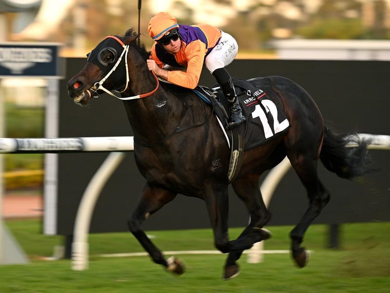 Rosehill Ortensia | Just Horse Racing