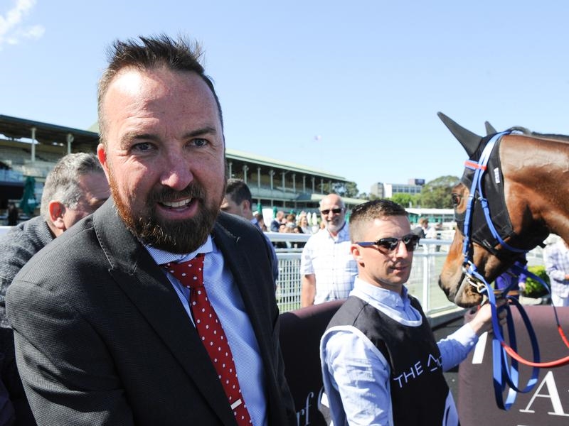 Rosehill Proud | Just Horse Racing