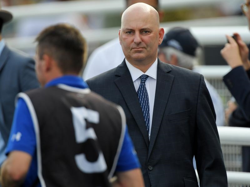 Rosehill Supremo | Just Horse Racing