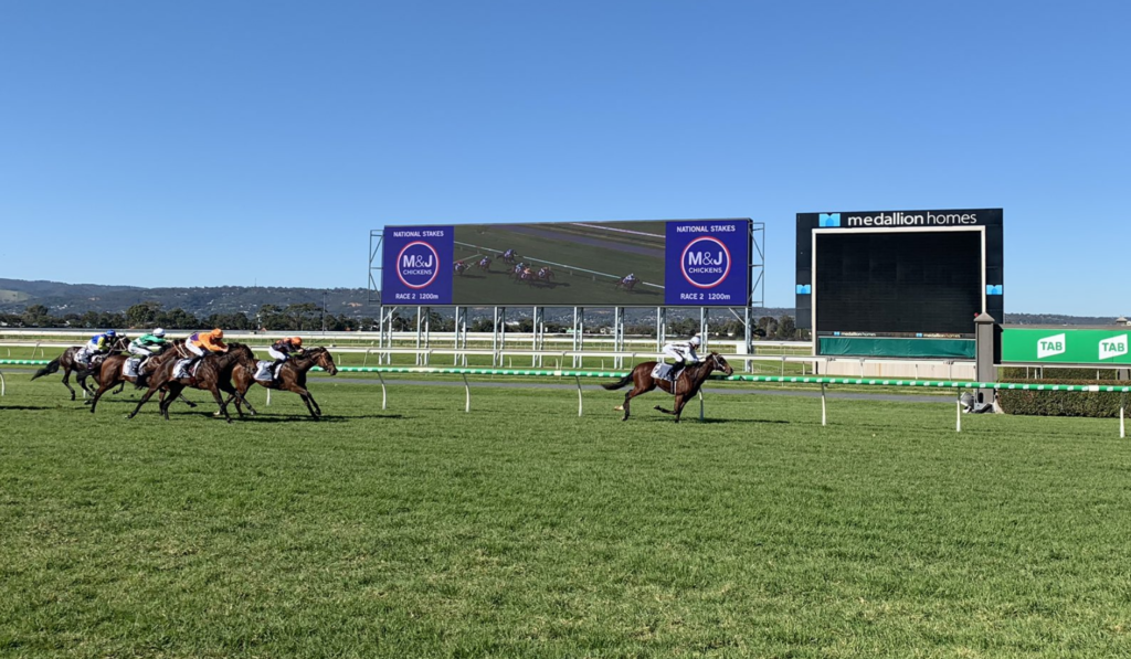 Extra Time | Just Horse Racing Extra Time