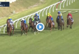 Denise’s Joy Stakes results and replay - 2020