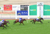 Seymour Races