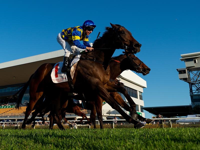 Sunshine Coast | Just Horse Racing