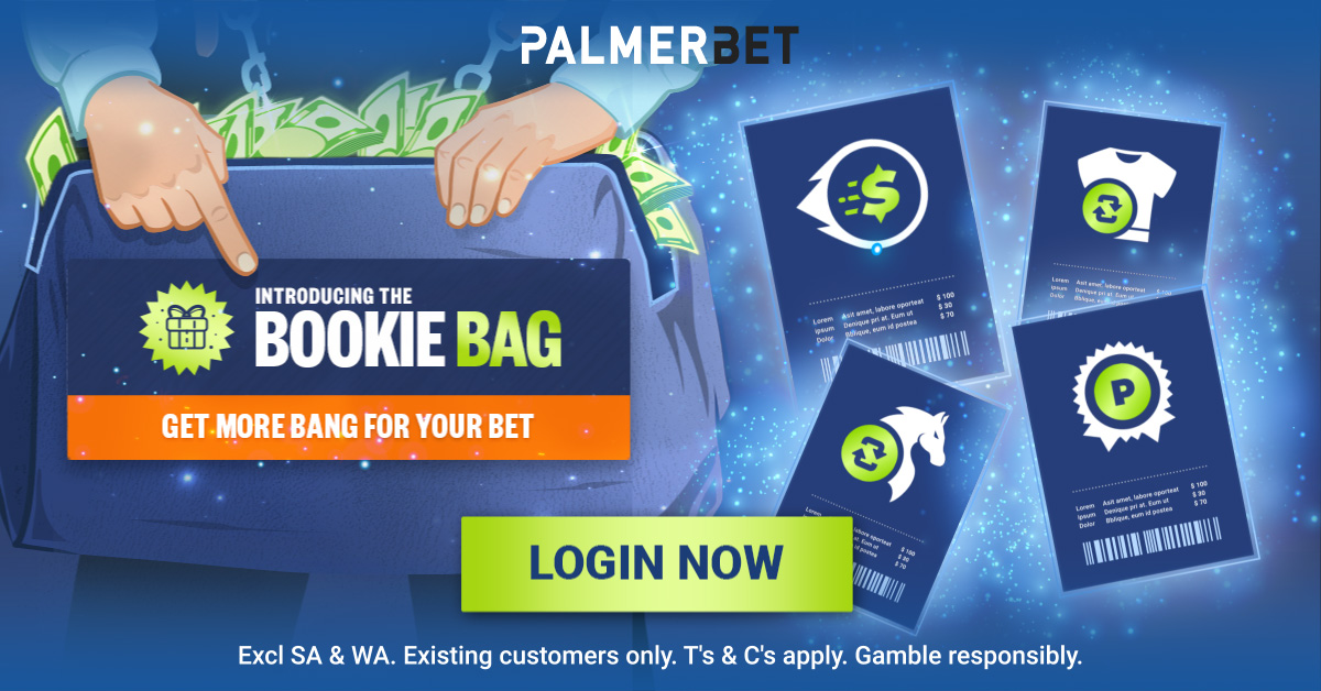 Palmerbet login