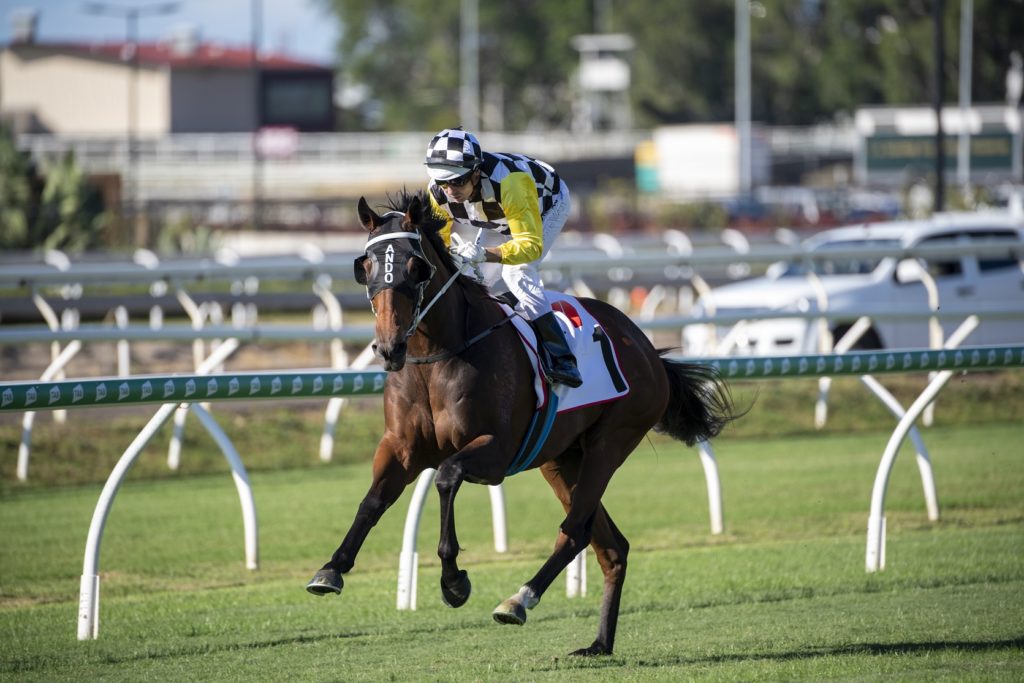 Ballistic Boy 6310 | Just Horse Racing