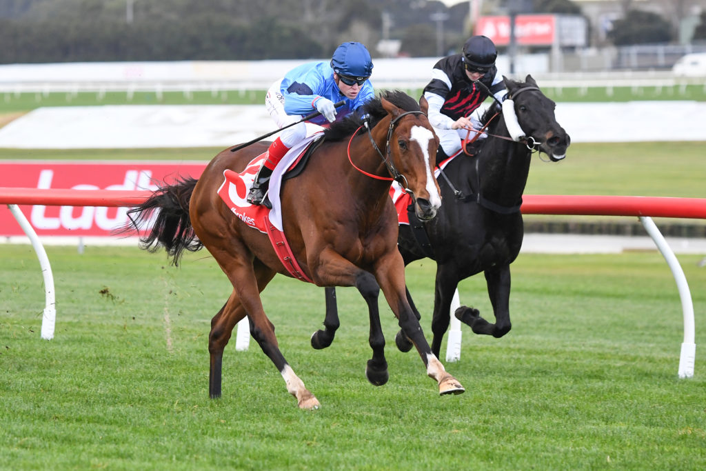 /r5/ | Just Horse Racing