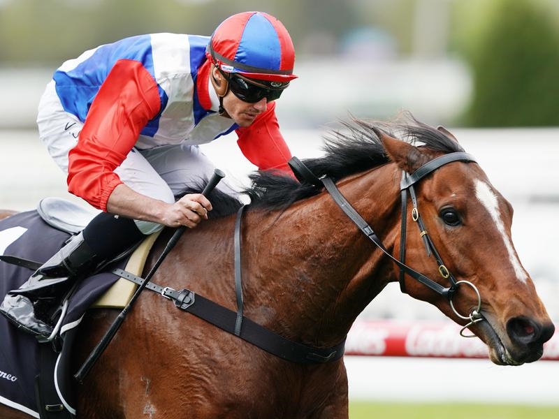 Caulfield | Just Horse Racing
