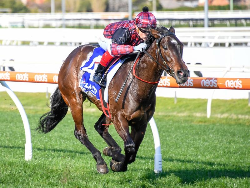Caulfield Felicia | Just Horse Racing