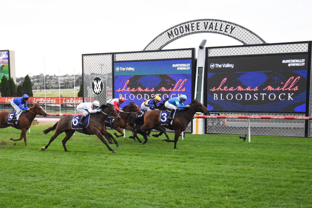 /r1/ | Just Horse Racing