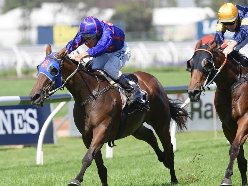 Doomben | Just Horse Racing
