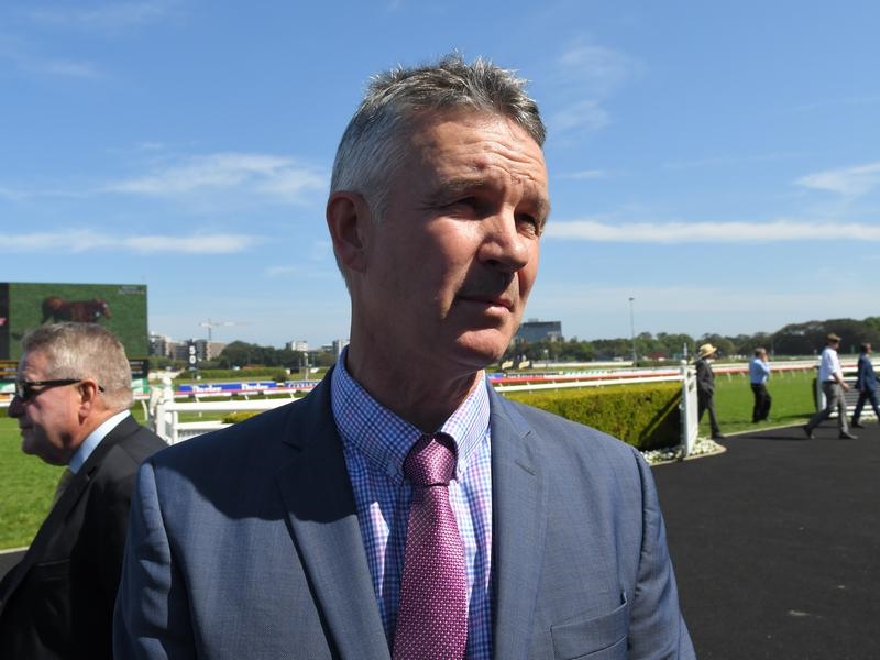 Doomben | Just Horse Racing