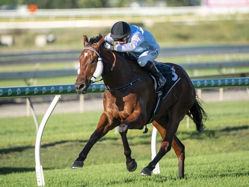 Doomben Mishani | Just Horse Racing