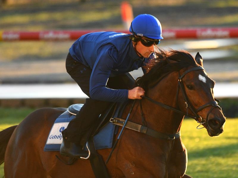 Eagle Farm Godolphin | Just Horse Racing