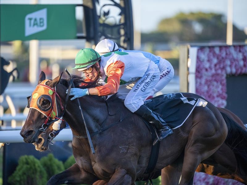 Eagle Farm Lucy | Just Horse Racing