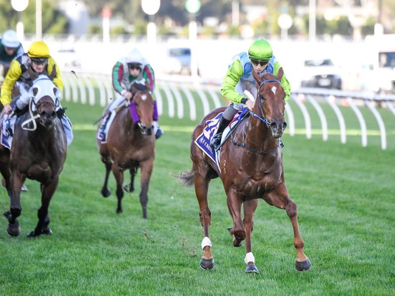 Flemington | Just Horse Racing