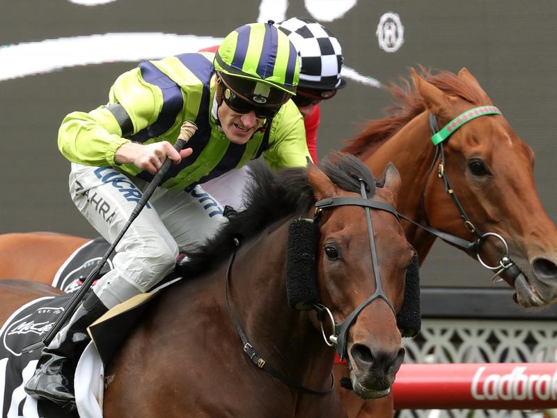 Flemington Ventura | Just Horse Racing