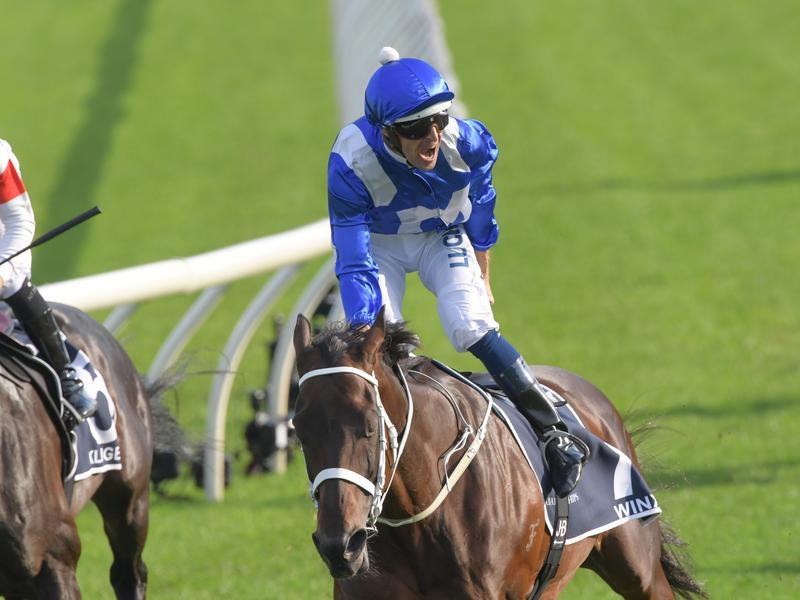 Gallops Covent | Just Horse Racing