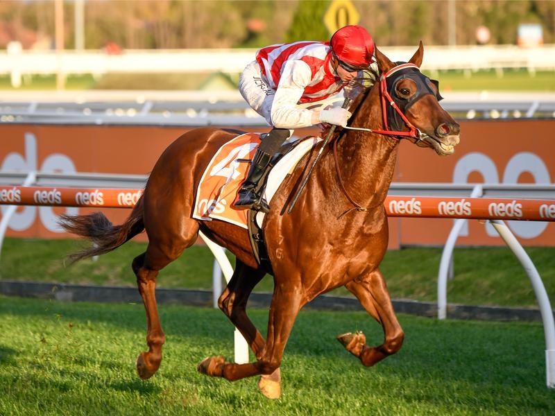 Gallops Flemington | Just Horse Racing