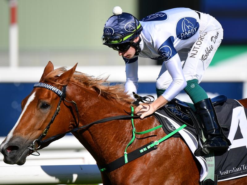 Gallops Rosehill | Just Horse Racing