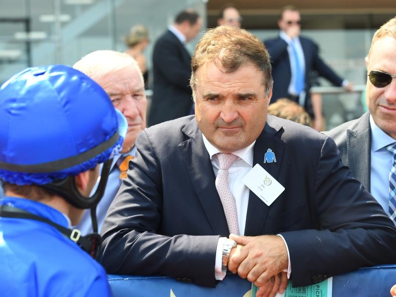 Gallops Spring | Just Horse Racing