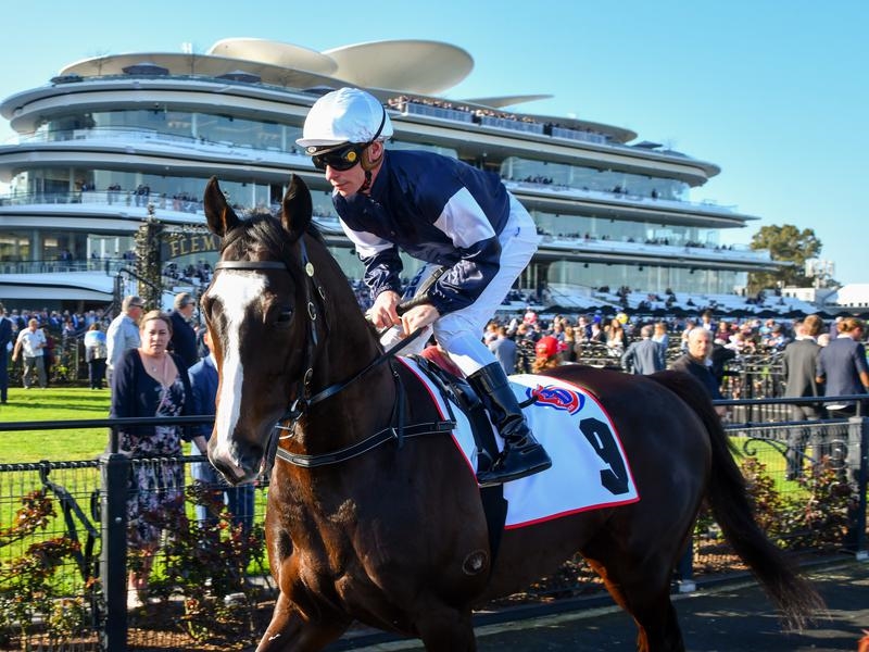 Gallops Williams | Just Horse Racing