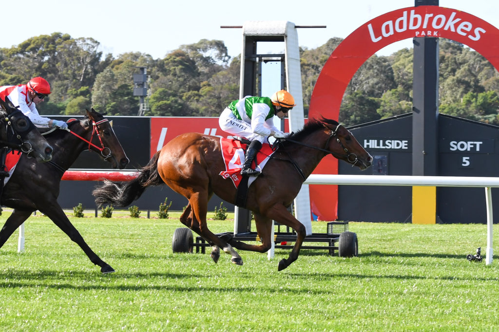 /r1/ | Just Horse Racing