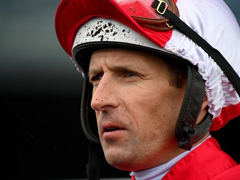 Randwick | Just Horse Racing