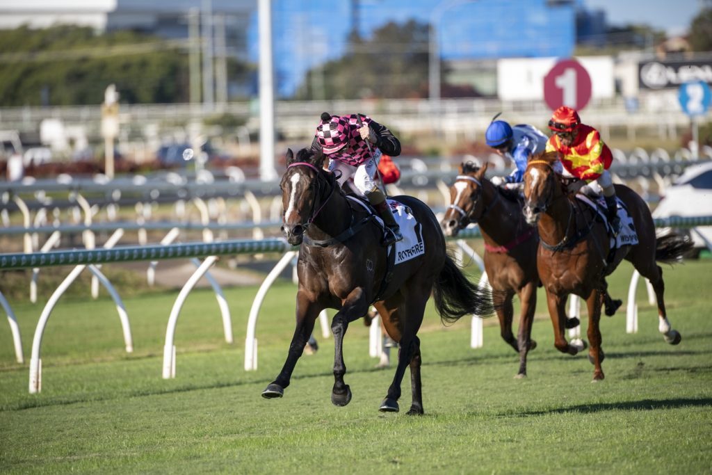 Rothfire 6822 | Just Horse Racing