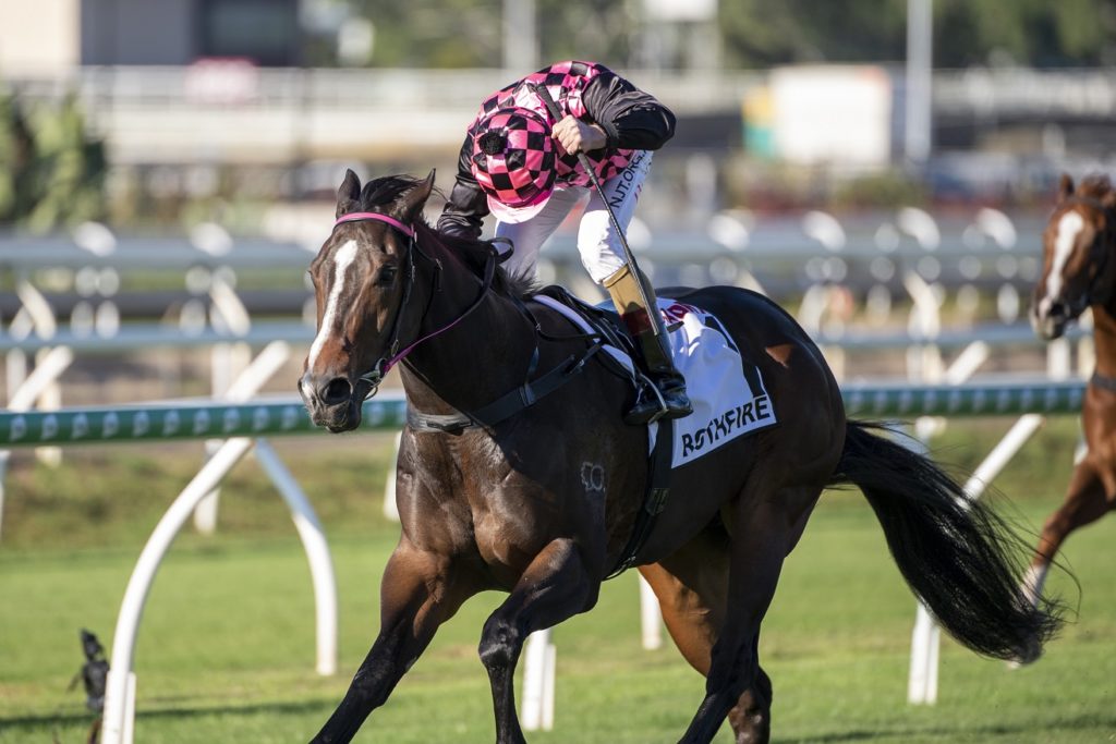 Rothfire 6834 | Just Horse Racing
