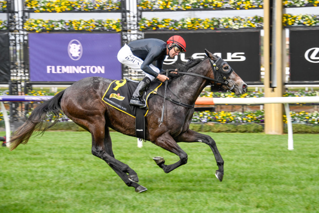 /r2/ | Just Horse Racing