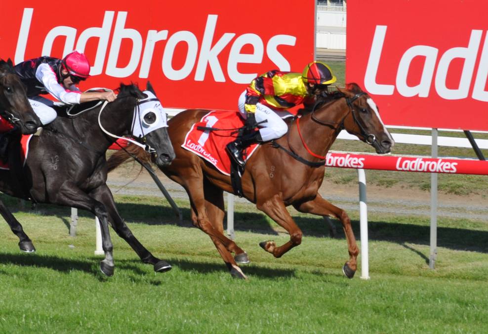 Still-a-Star | Just Horse Racing