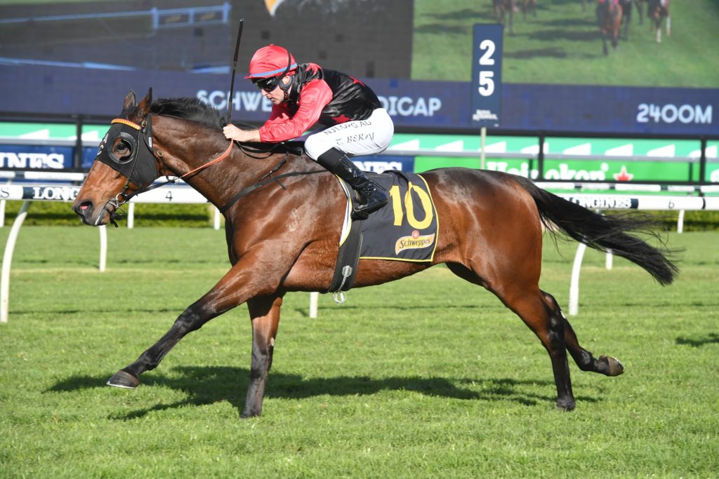Terwilliker 06062020 3276 | Just Horse Racing