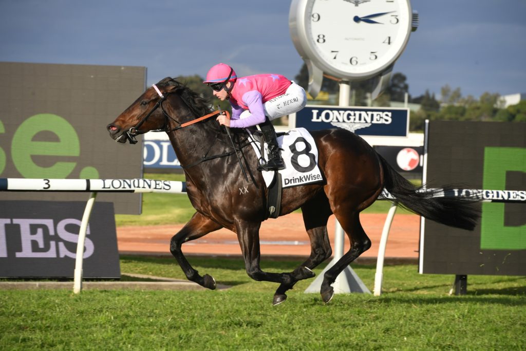 Trumbull 27062020 6873 | Just Horse Racing